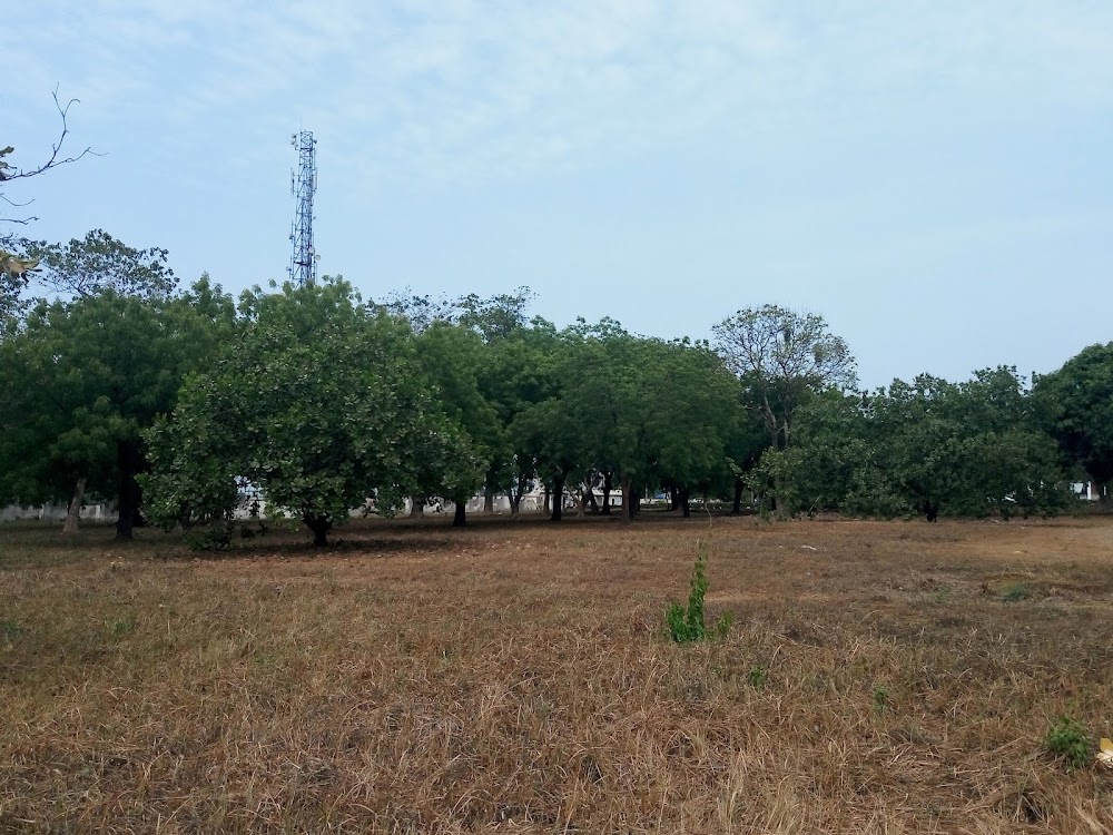 Old Motion Ground